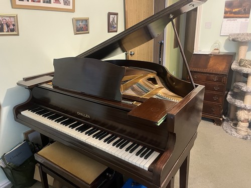 Challen baby grand - challen, piano