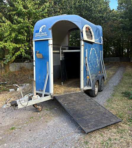Cheval liberte blue horse - cheval,