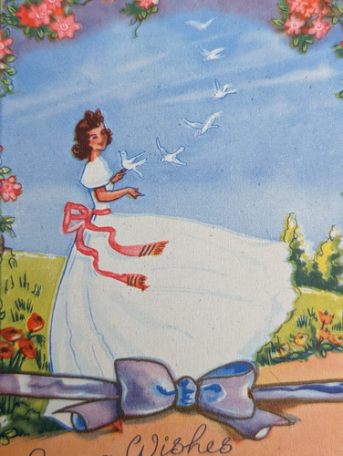 Vintage used crinoline - vintage,