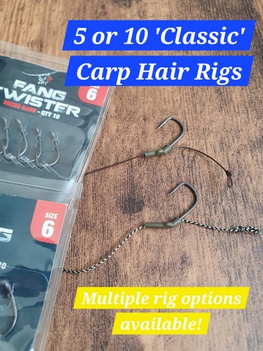 Classic carp fishing - 10,