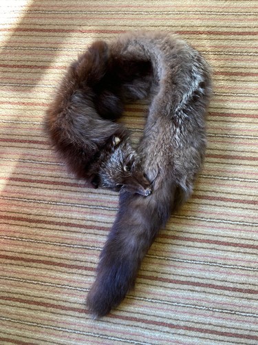 Vintage fox stole real fur - vintage,