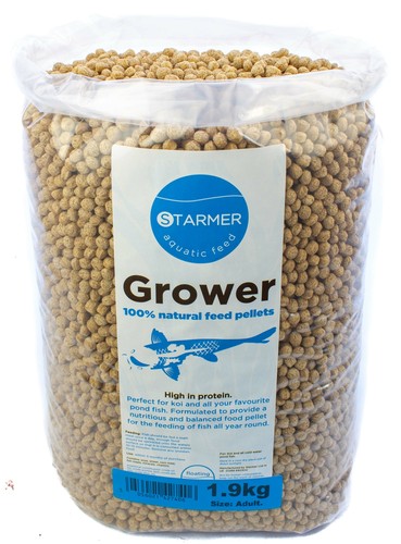 Koi carp protein - koi,