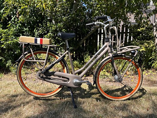 Gazelle city bike - city, cm