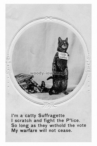 Rp16937 suffragette cat - -,