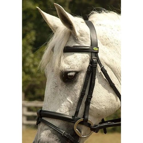 Detachable flash bridle - bridle, &