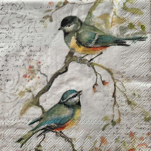 Cocktail paper napkins for - x,