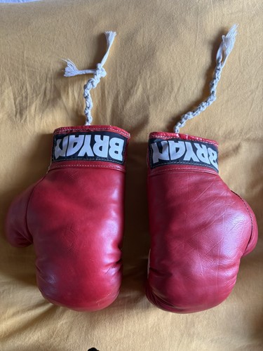 Bryan vintage boxing - vintage, gloves
