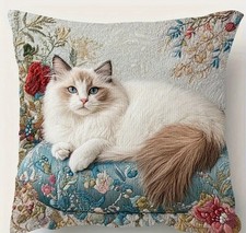 Super Soft Long haired Ragdoll