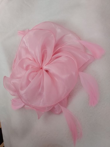 Facinator women hair clip - hair,