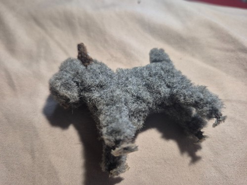 Vintage miniature steiff terry - steiff,