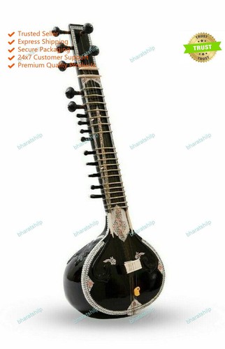 Instrument acoustic sitar high - instrument,