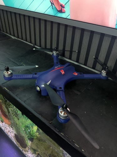 Bugs drone - drone,