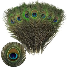 JEOPKO 15Pcs Peacock Feathers