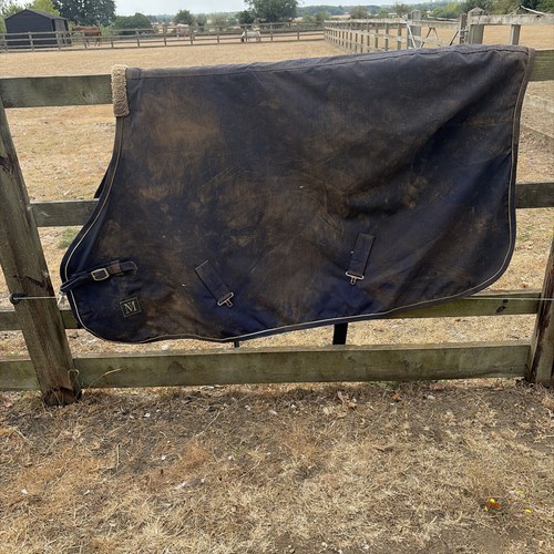 Mark todd foal turnout - todd,