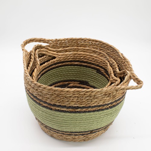 Cotton seagrass large - seagrass,