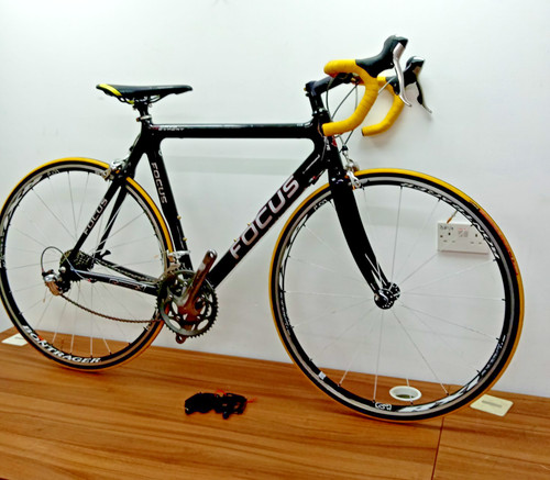 Focus cayo expert - cayo, carbon