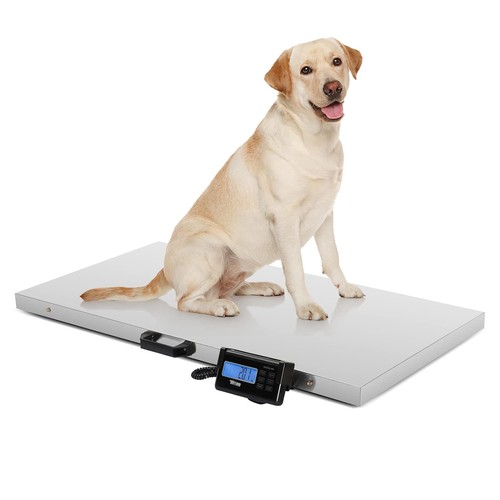 1100lbs digital livestock - 1100lbs,