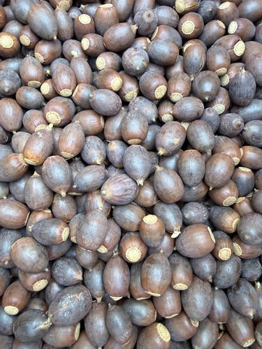 Lbs fresh white oak - lbs,