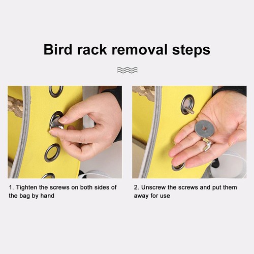 Pet carrier bird travel - _pet,