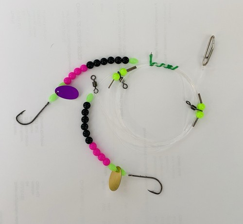Sea fishing rigs 2 hook - sea,