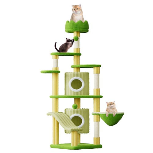 162cm large cat - cat, tree
