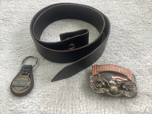 Harley davidson belt - belt, and