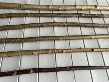 Hazel Walking Stick Shank