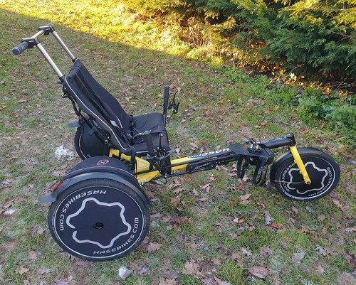 Demo 2020 hase bikes - ex,