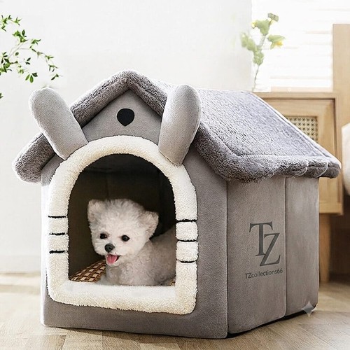 Pet cat kitten dog - dog, igloo