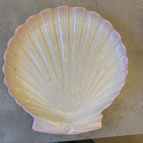 Antique belleek tridacna - antique,