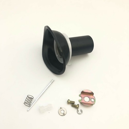 Carburetor diaphragm kit - carburetor,
