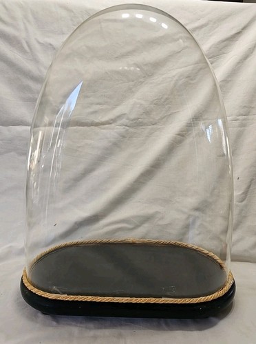 Large antique glass dome with - large,