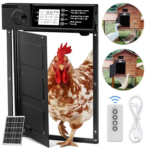 Chicken coop door - door,