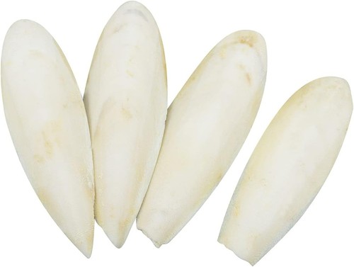 Cuttlefish bone for birds - bone,