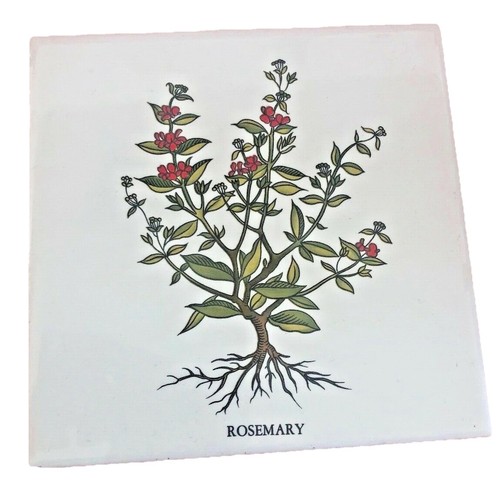 Ceramic tile rosemary white - tile,