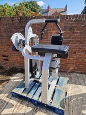 Precor Icarian Tricep Extension Machine Commercial Gym Equipment