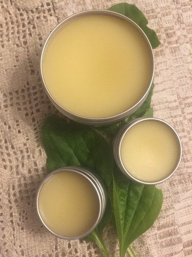 Plaintain salve herbal - salve, /herbal