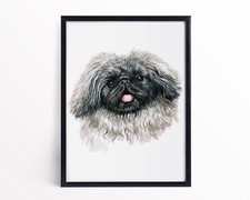 Pekingese Dog Portrait Watercolour Pekingese Dog Breed Poster Pekingese Art