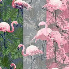 Flamingo Wallpaper Birds