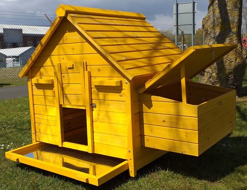 Chicken coop run - coop, hen
