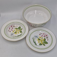 Spode Country Lane Serving