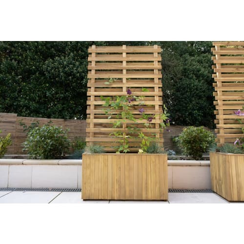 Forest garden living screen - garden,