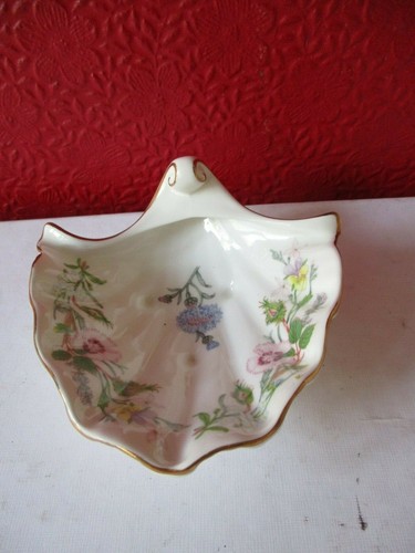 Aynsley clam shell - clam,