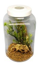 Praying Mantis,Stick