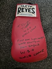 Terry Flanagan Glove Auto