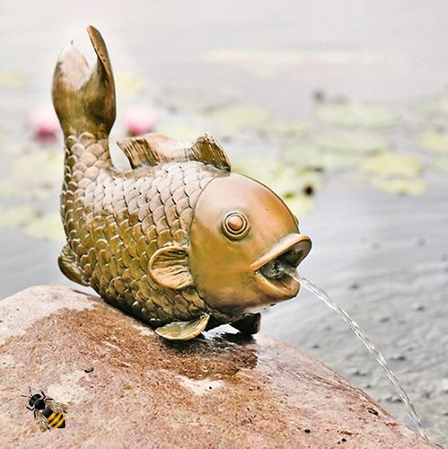 Pond spitter big - pond,
