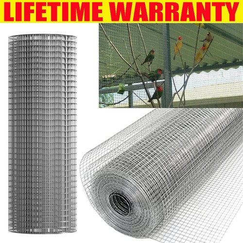 Galvanised chicken wire mesh - chicken,