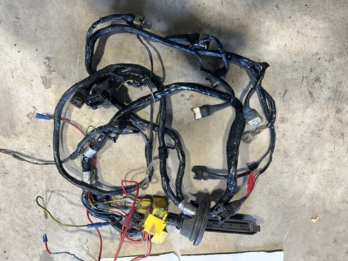 Cosworth engine wiring - wiring, loom