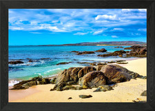 Coral Strand Framed Wall Art