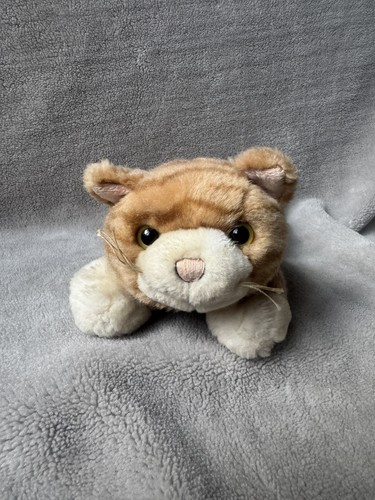 Animal alley ginger tabby - animal,